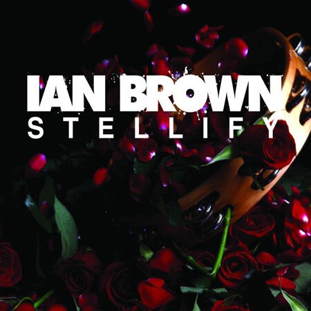 stellify, ian brown