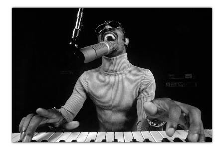 the wonder of stevie