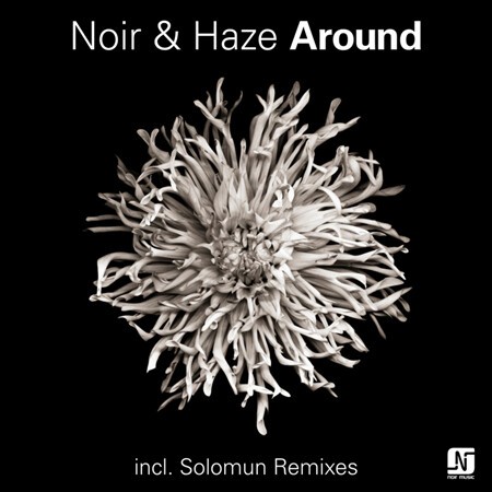 noir + haze, 