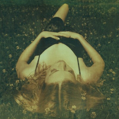 neil krug
