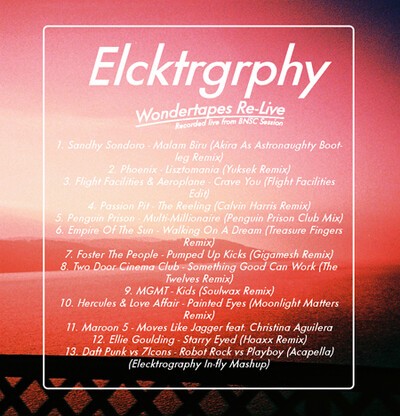elecktrography, "wondertapes re-live"